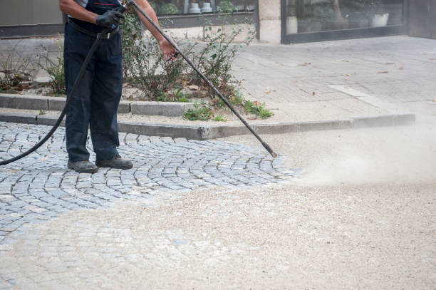 Best Fence Cleaning  in Sonoma, CA